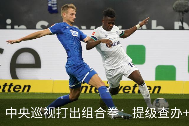 中央巡视打出组合拳：提级查办+深挖保护伞，查到线索再也瞒不住