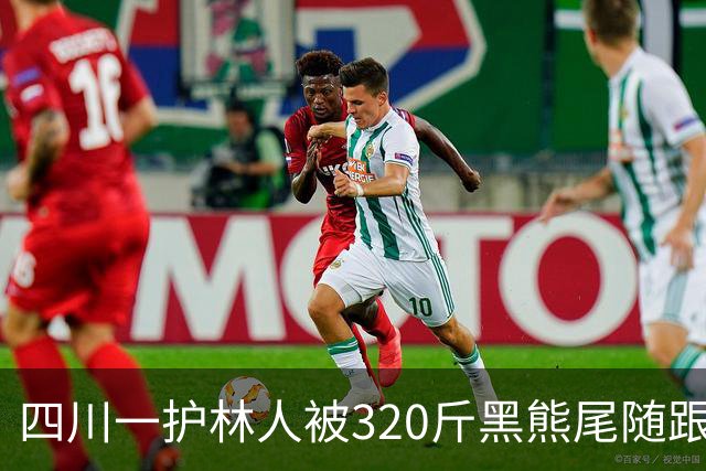 四川一护林人被320斤黑熊尾随跟了一天，无奈举起砍刀对峙