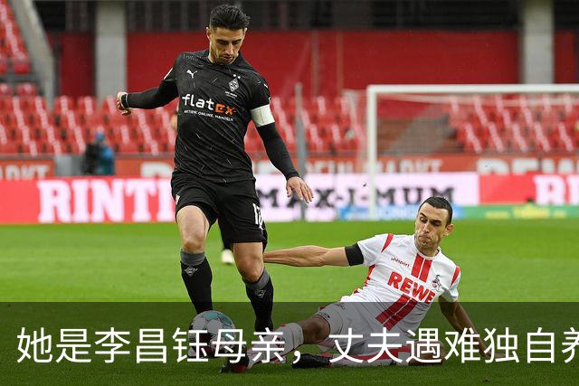 她是李昌钰母亲，丈夫遇难独自养13个博士，晚年想为家乡捐运动场