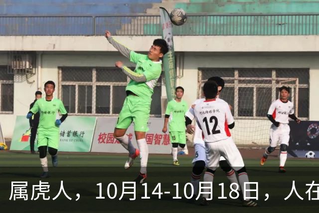 属虎人，10月14-10月18日，人在家中坐，祸从天上来！