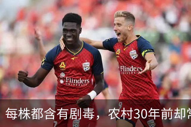 每株都含有剧毒，农村30年前却常用来做腌菜，为何现在消失不见？