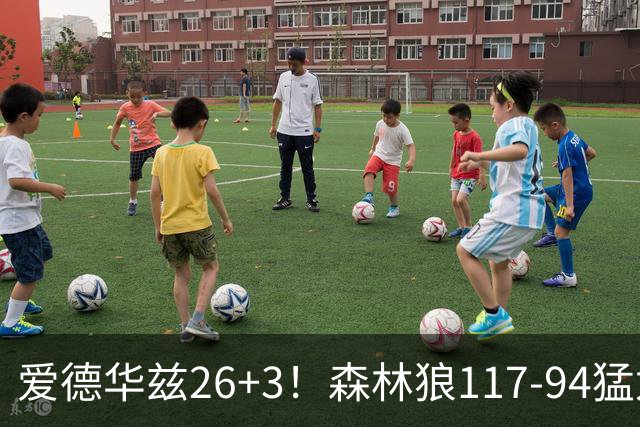 爱德华兹26+3！森林狼117-94猛龙，看数据：他是头号功臣！