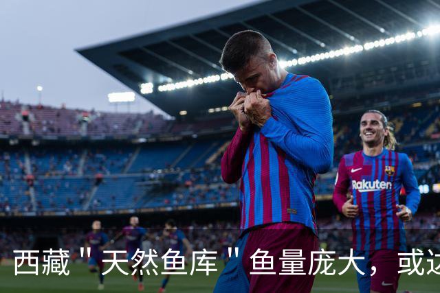 西藏＂天然鱼库＂鱼量庞大，或达2亿公斤？为何人们不进行打捞？