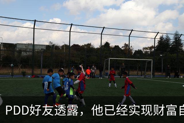 PDD好友透露，他已经实现财富自由了，以后不可能再回归直播圈